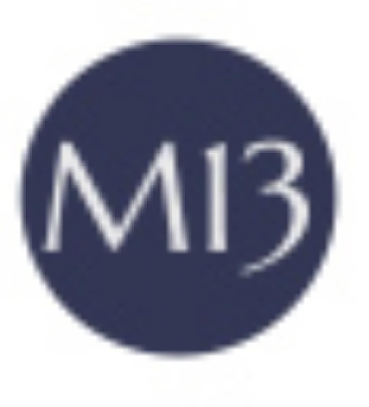 Meridiano13