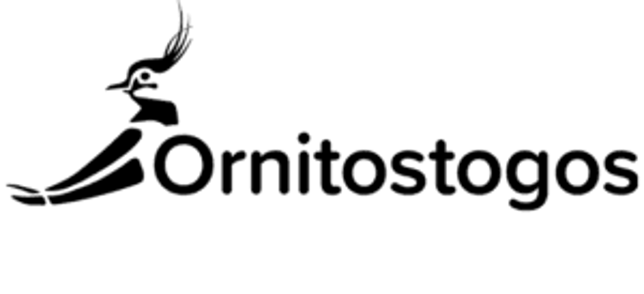 Paukščių giesmės