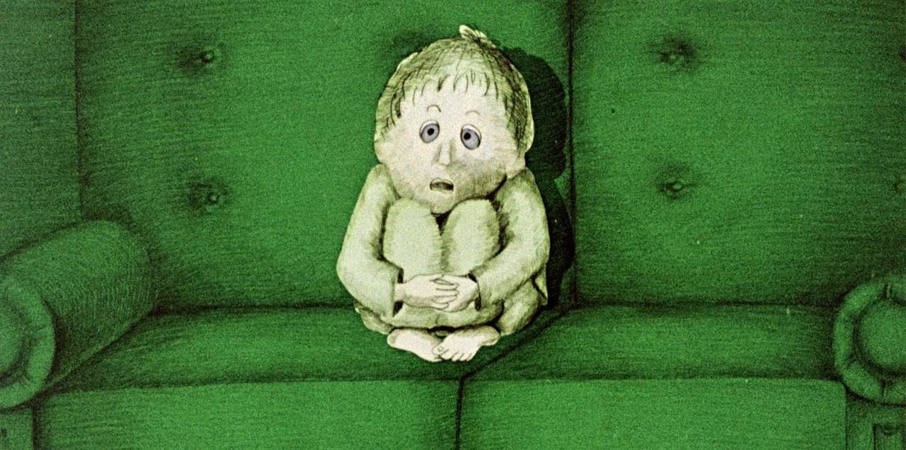 Kaktuso paslaptis