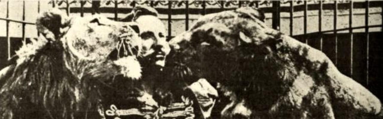 Cirko arenoje 1912 m.