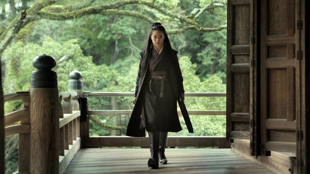 The Assassin