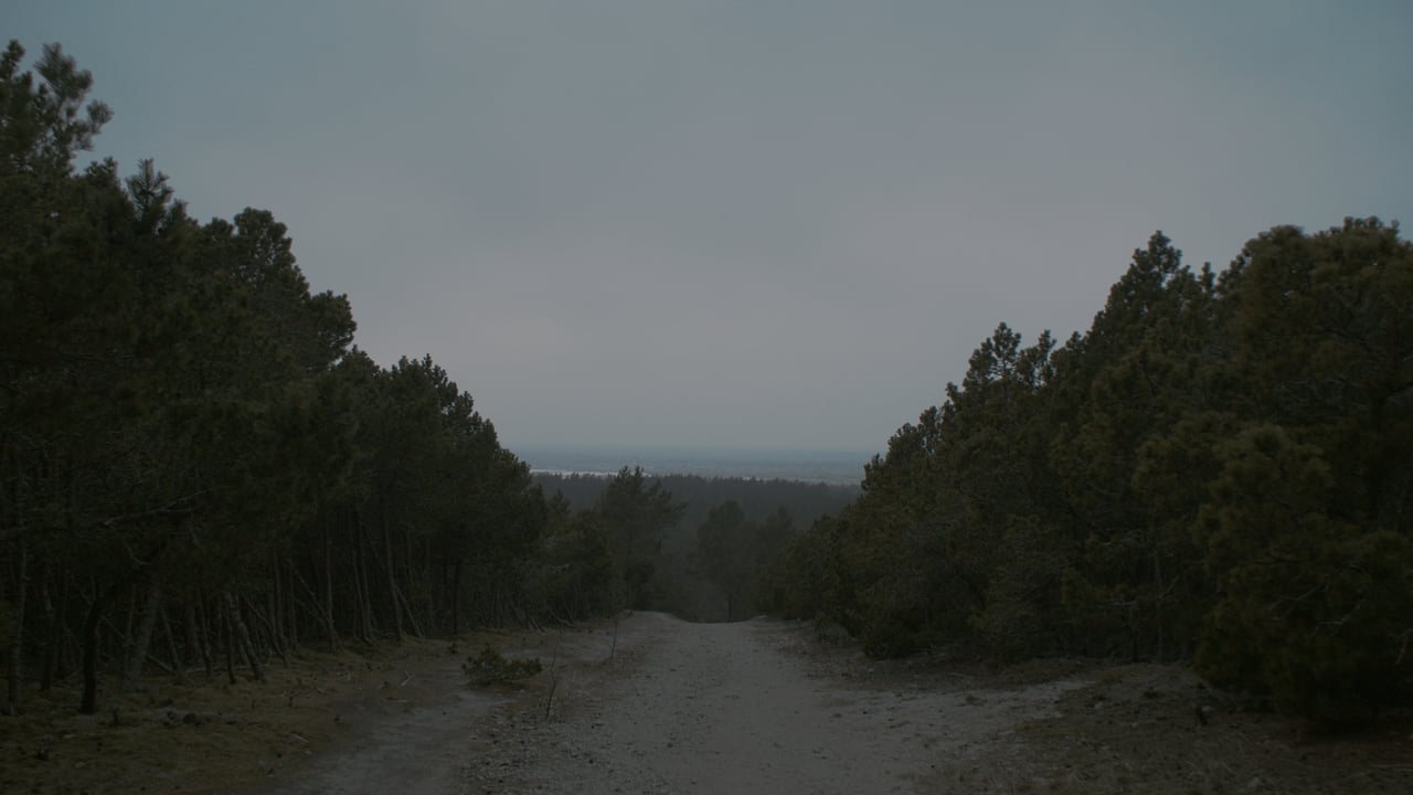 Dažnių žvejyba