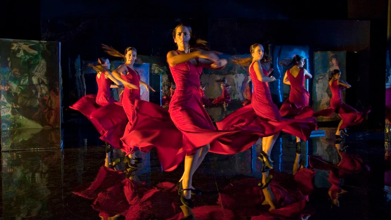 Flamenco, Flamenco