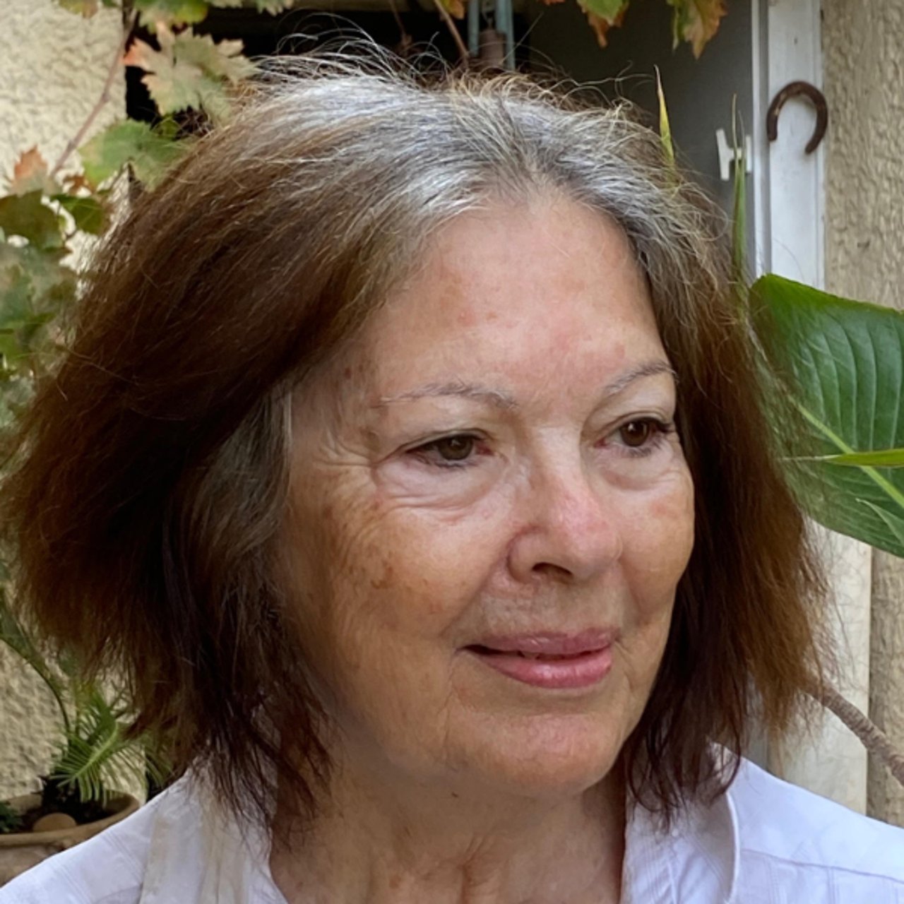 Ruth Lev Ari