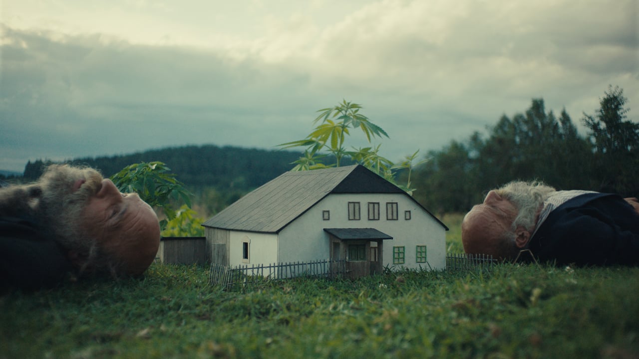 Jau geriau išprotėsiu