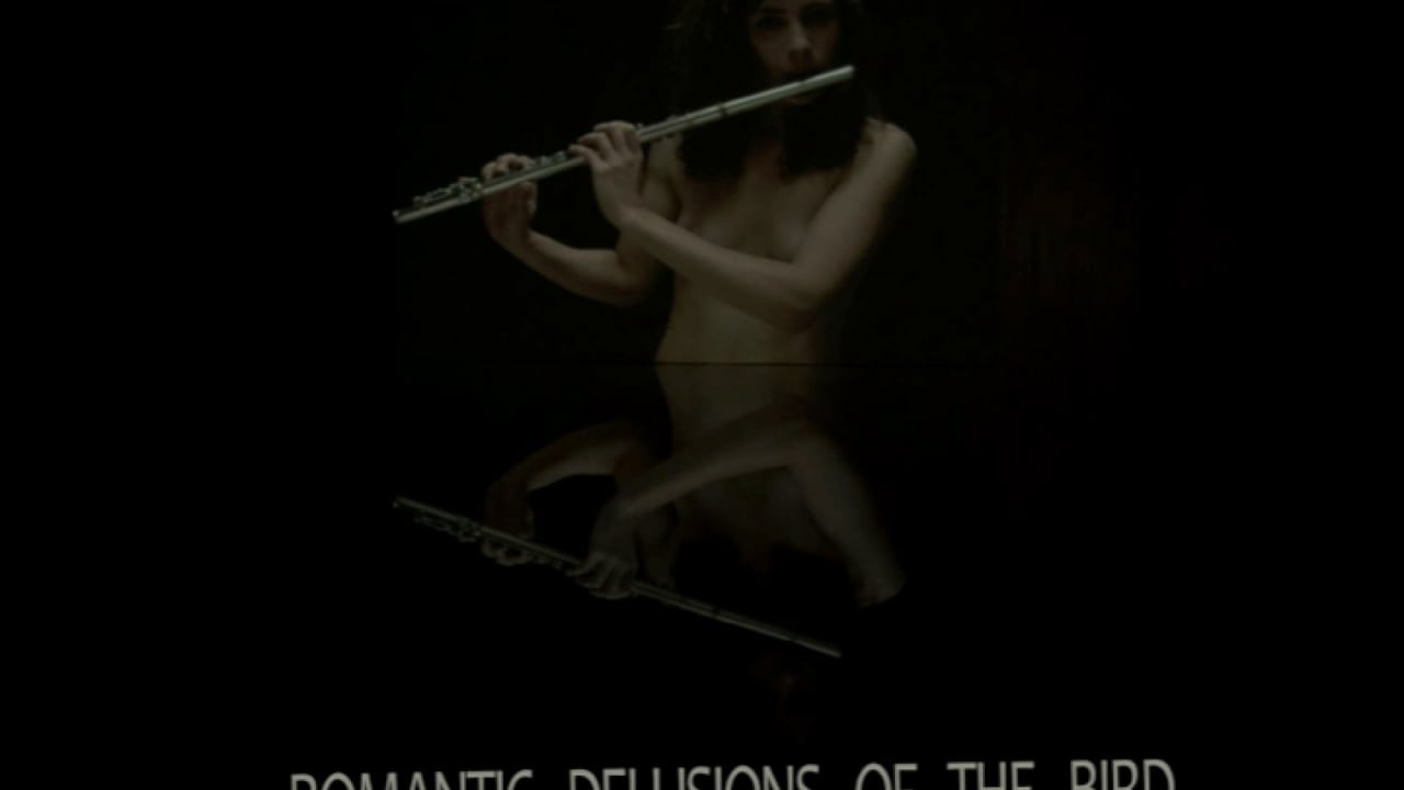 Romantic Delusions of the Bird