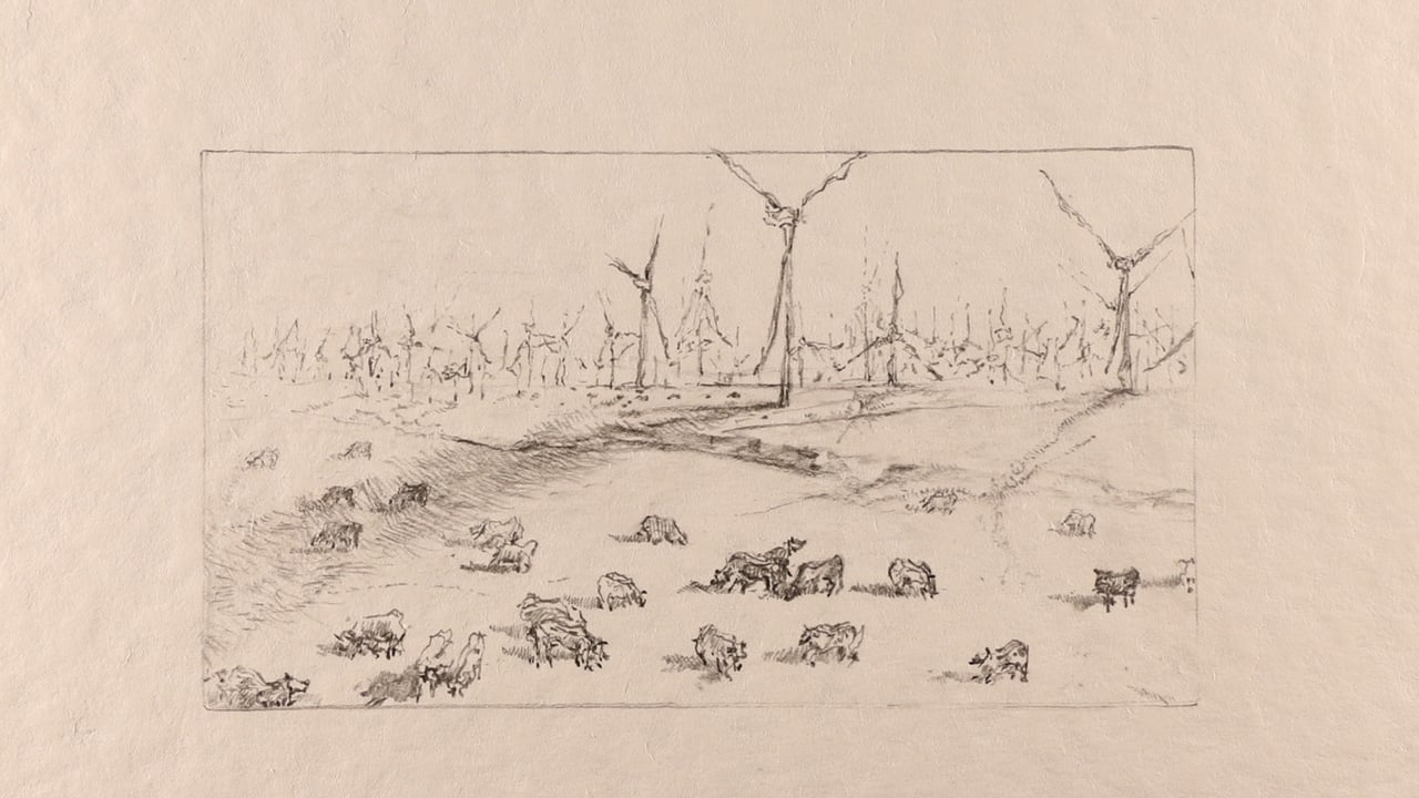 The Dog’s Leash