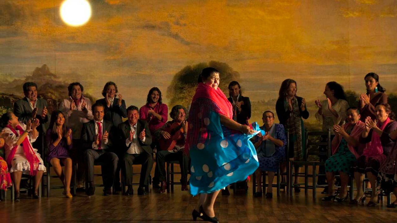Flamenco, Flamenco