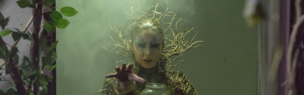 The Witch Hunters