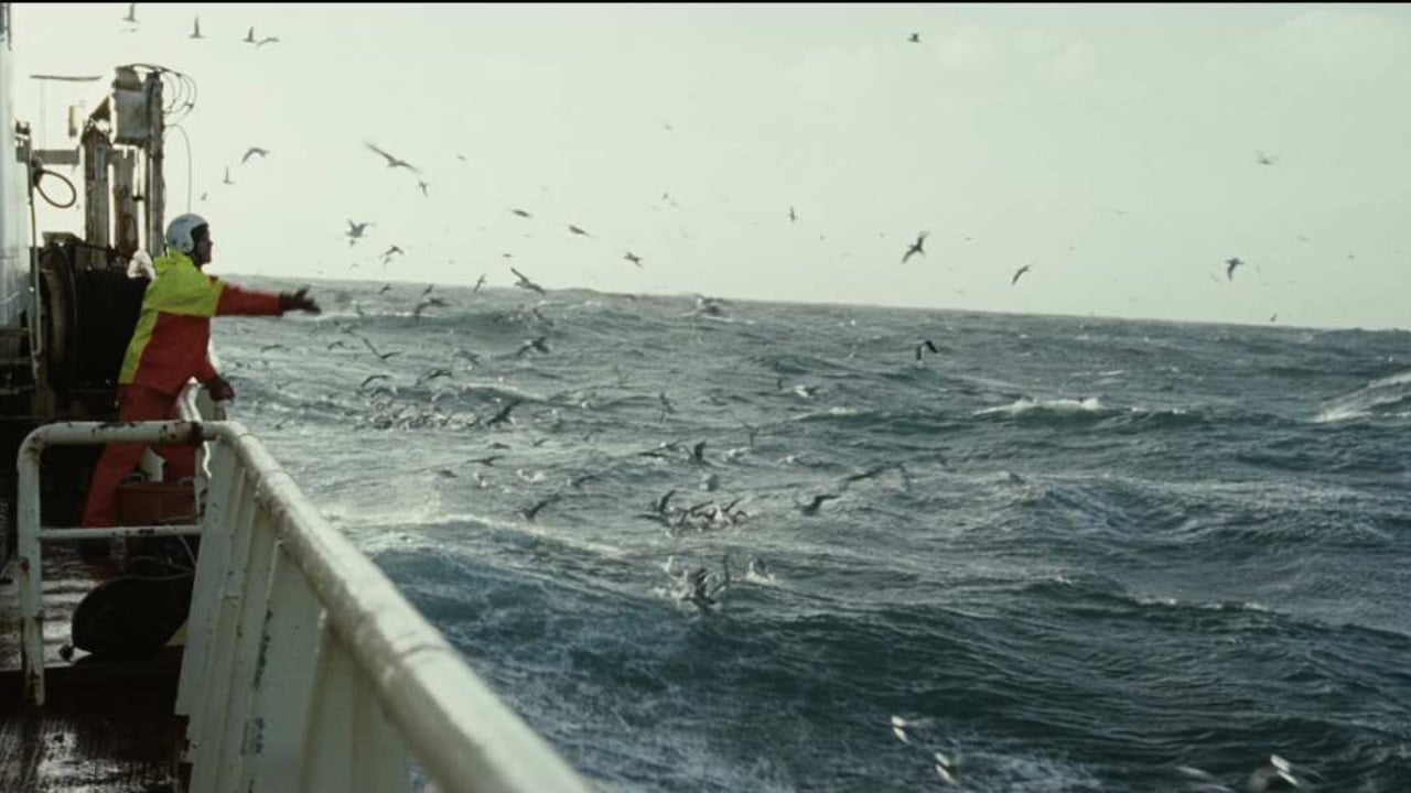 Undercurrent