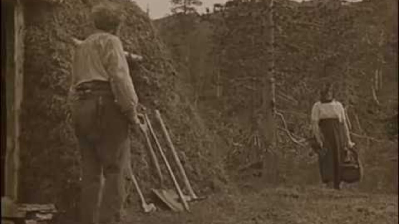 The Growth of the Soil