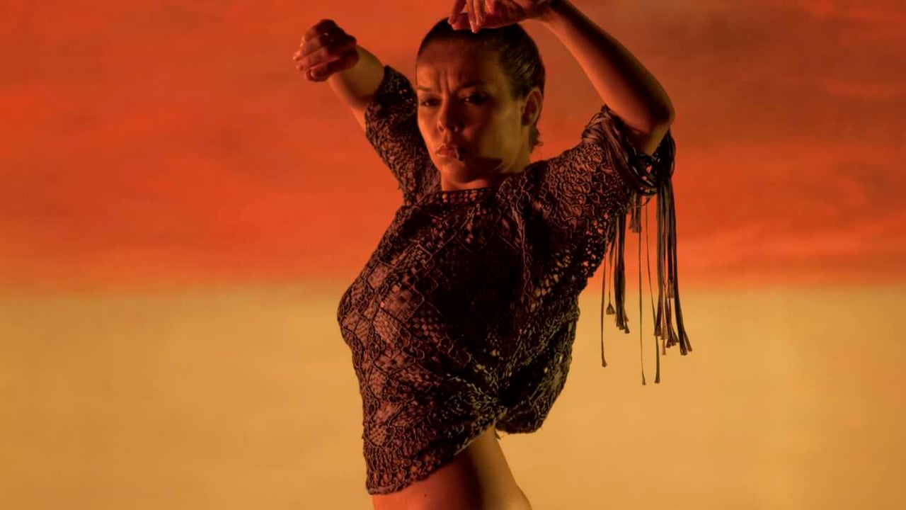 Flamenco, Flamenco