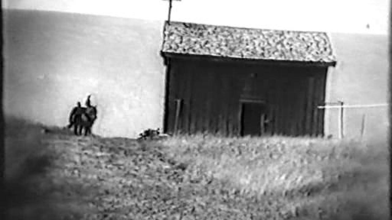 Glomdalio nuotaka