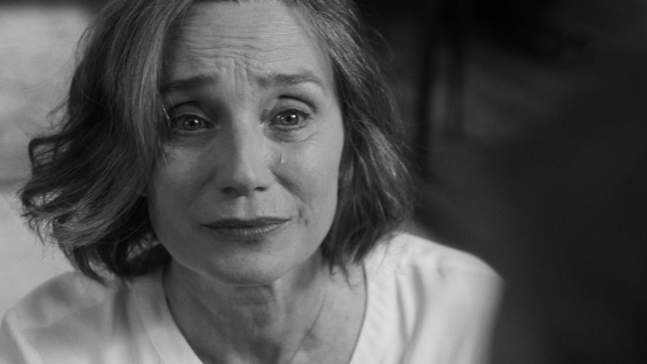 Vakarėlis (2017)