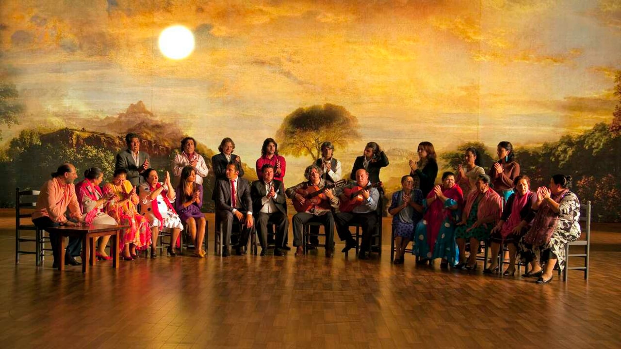 Flamenco, Flamenco