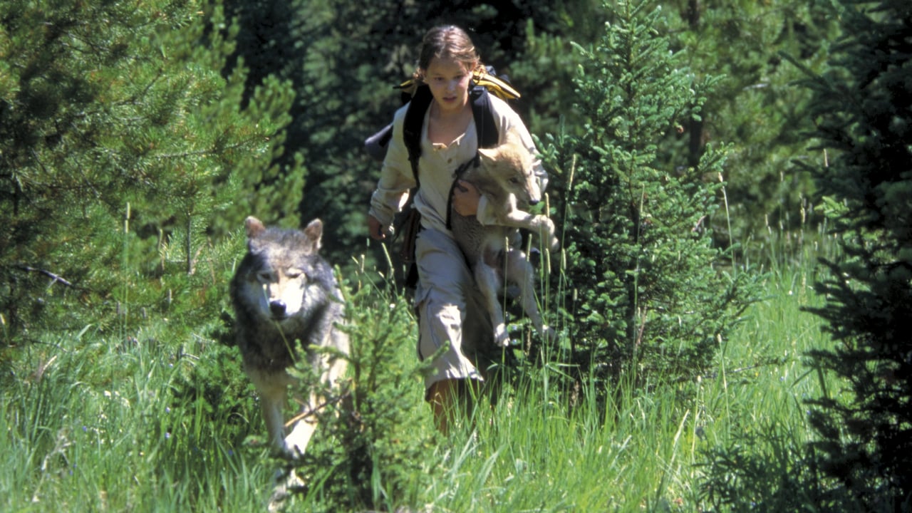 Wolf Summer