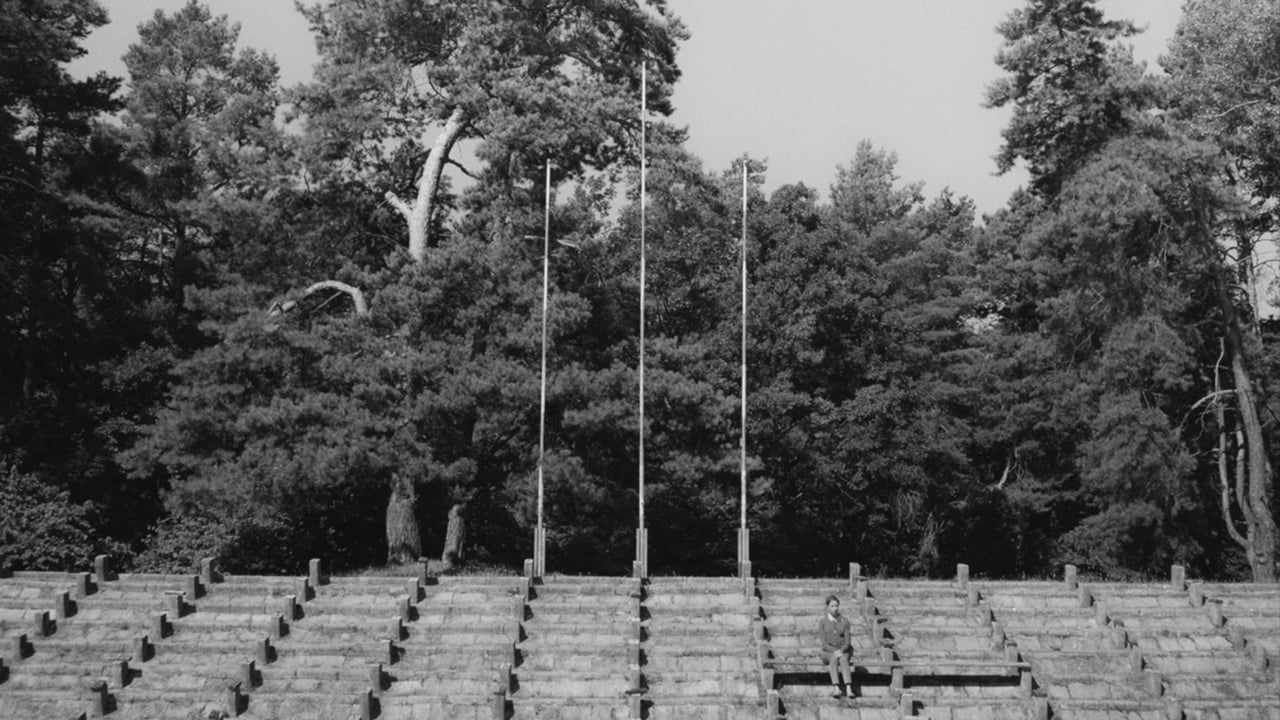 Tramvajus