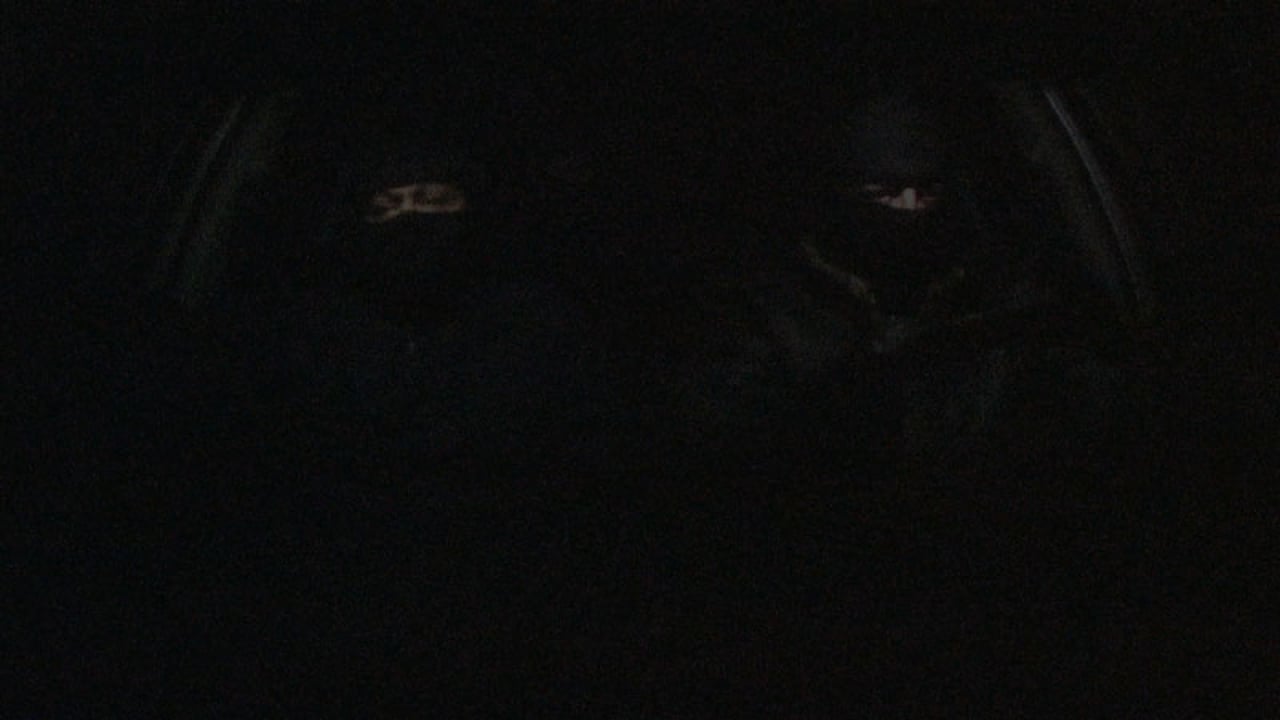 Vilkai