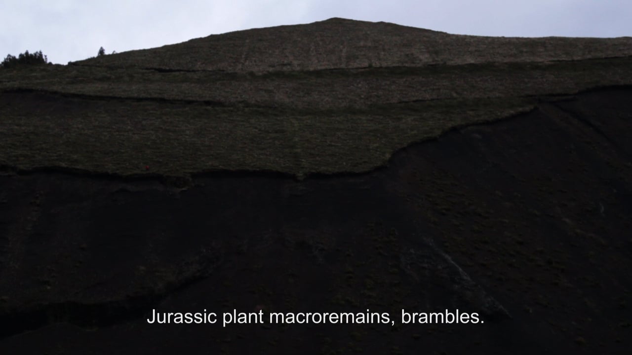 Encounters With Landscape 3x