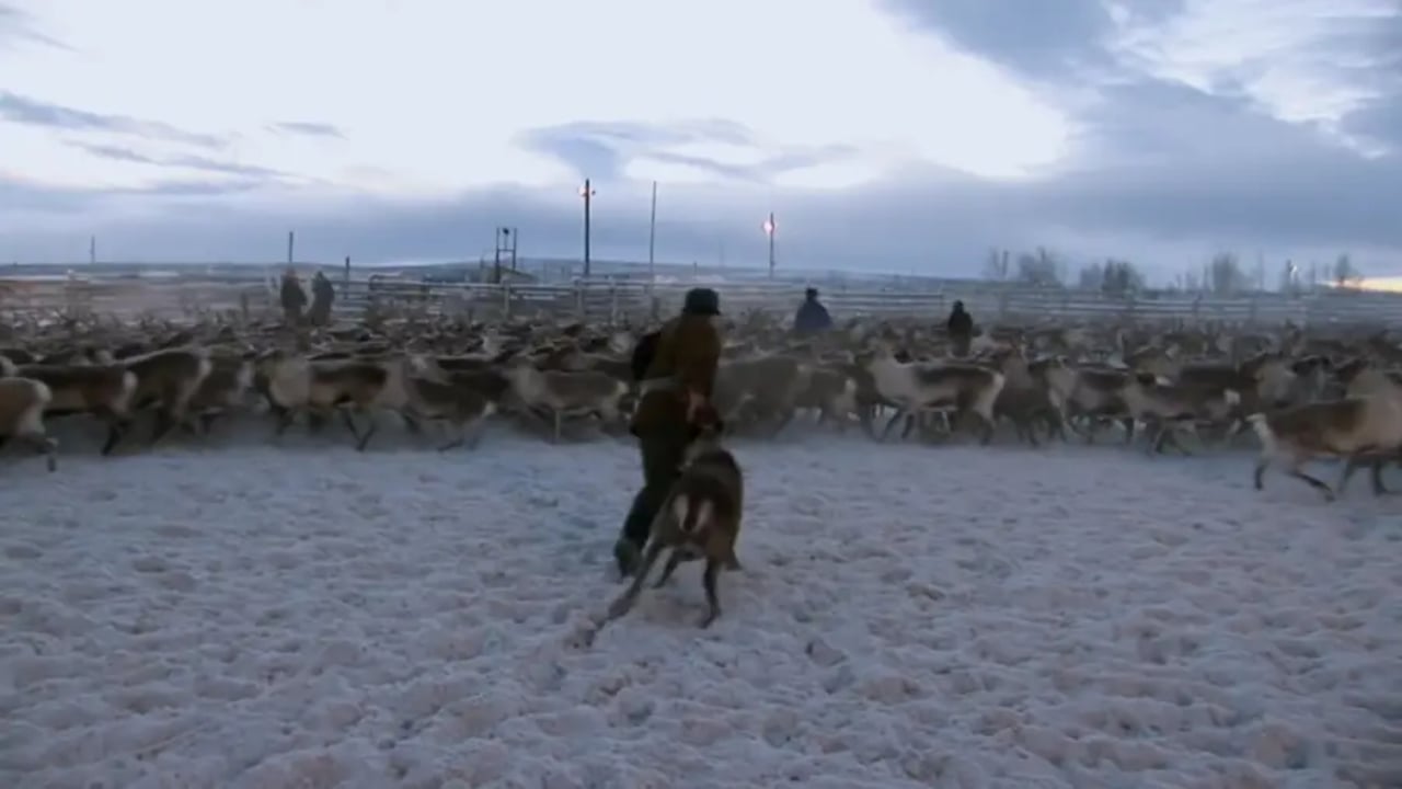 Sweden Today