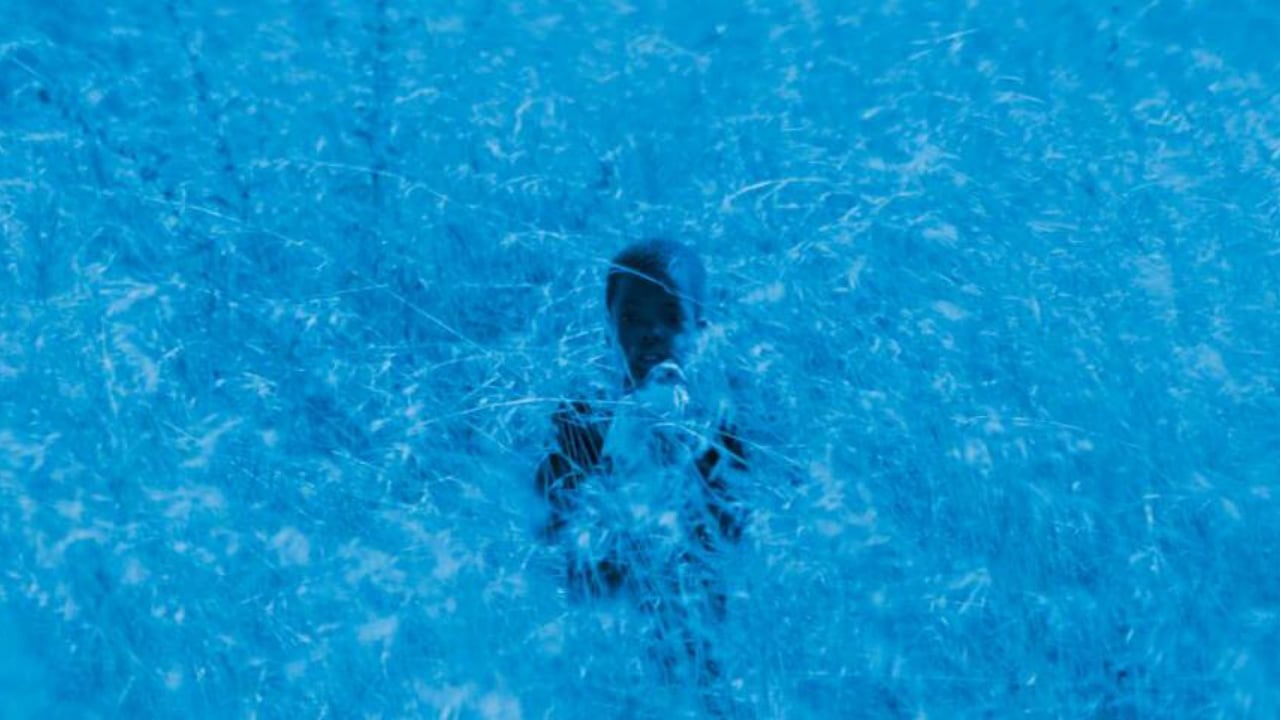 Blue Bird