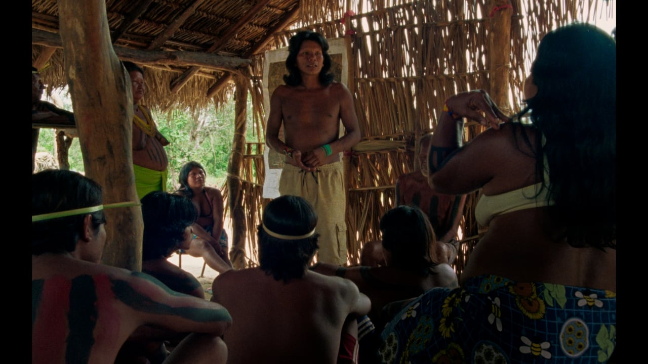 The Buriti Flower