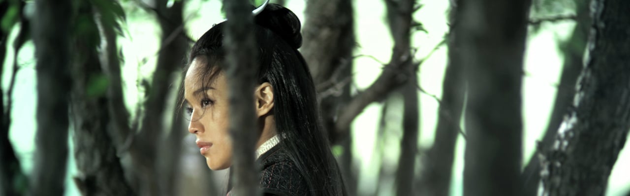 The Assassin