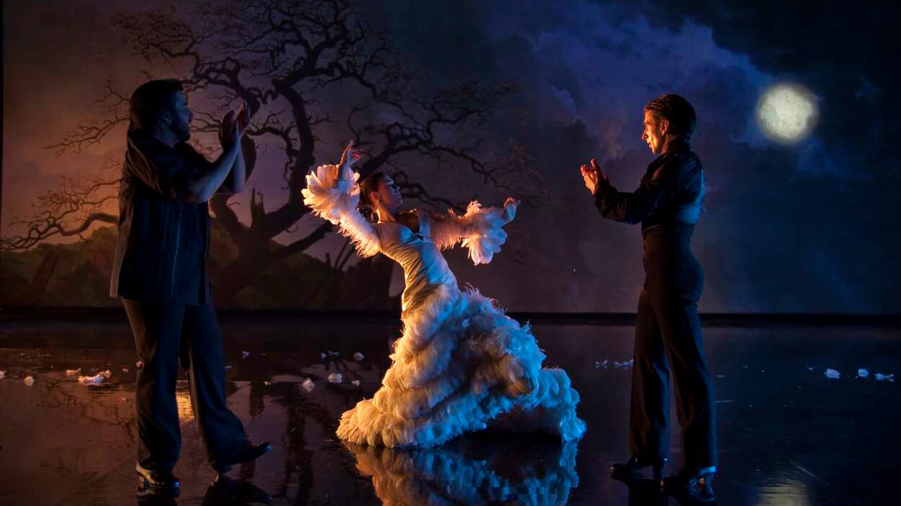 Flamenco, Flamenco