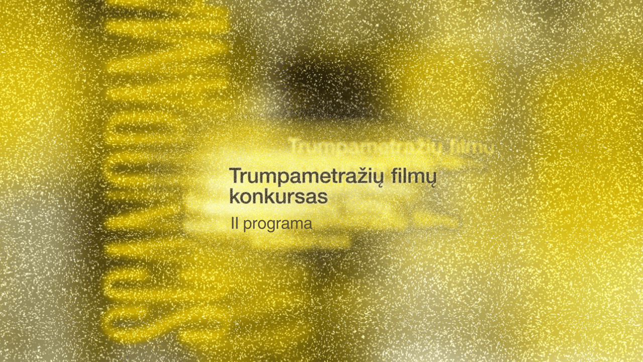 EUROPOS BLYKSNIAI: II programa