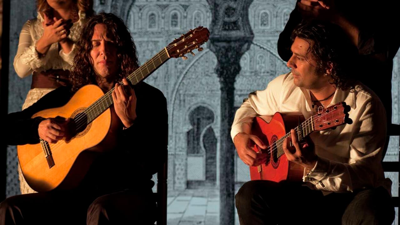 Flamenco, Flamenco