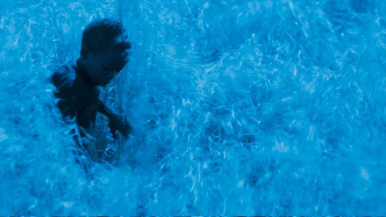 Blue Bird