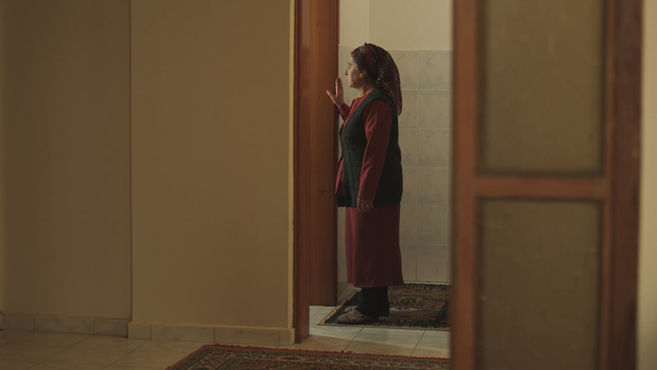 Verge (2016)