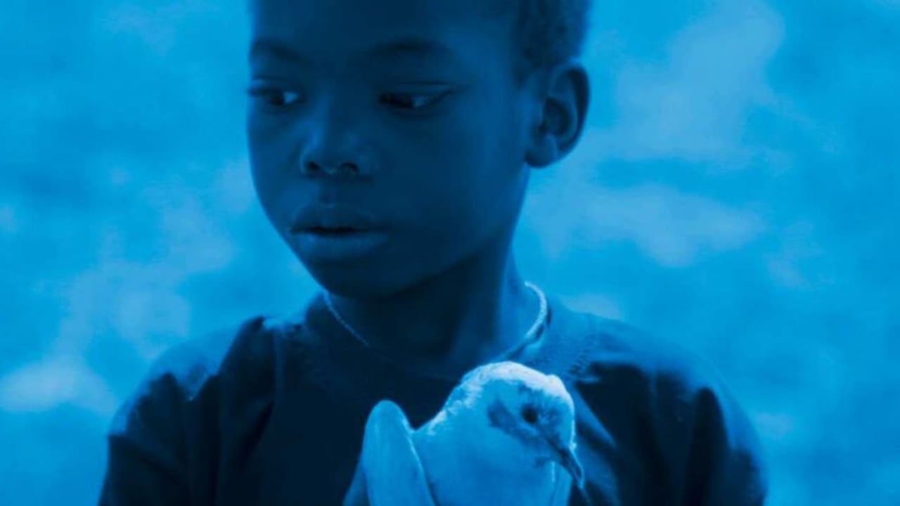 Blue Bird
