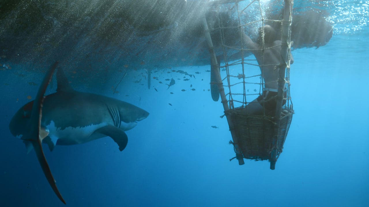 Kon-Tiki