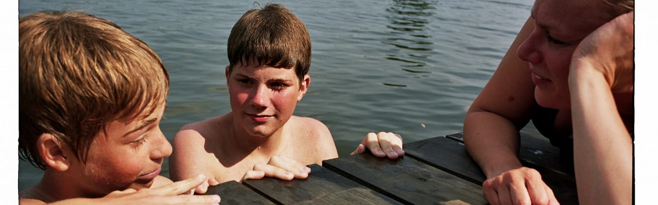 Vingis