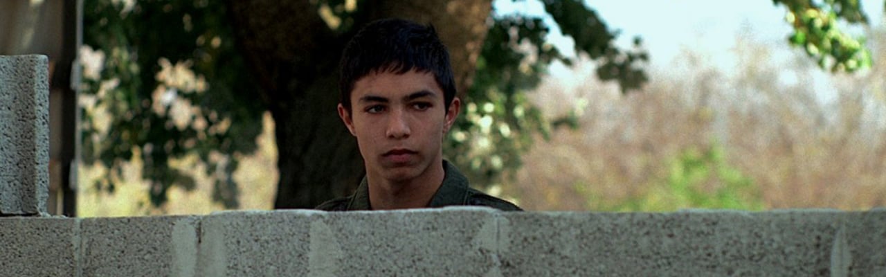 Wall (2014)
