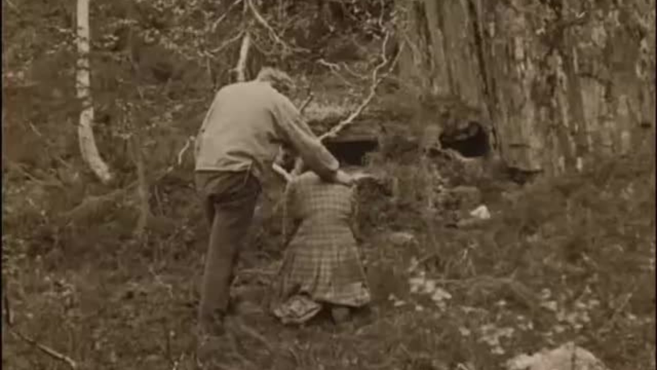 The Growth of the Soil