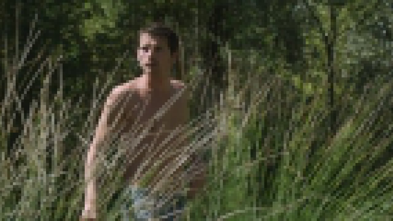 Stranger by the Lake