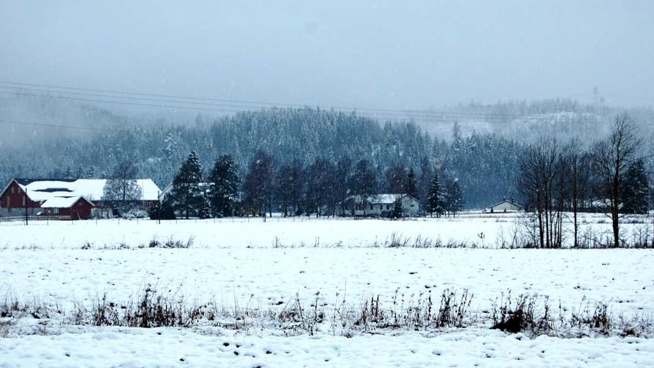 Nesveikai laiminga