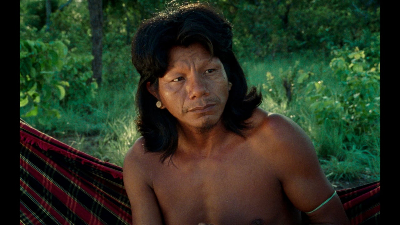 The Buriti Flower