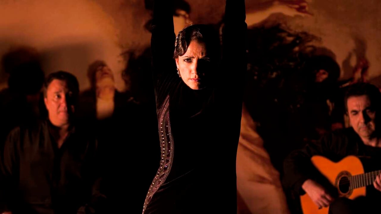 Flamenco, Flamenco